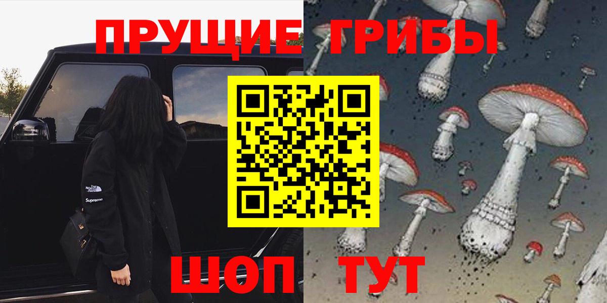 Псилоцибиновые грибы Psilocybine cubensis Псков